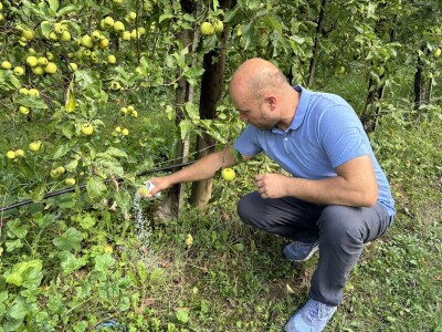 Jesenja gnojidba voćnjaka