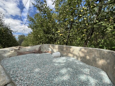 Jesenja gnojidba voćnjaka