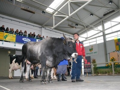 Poljoprivredni Glasnik na Bjelovarskom sajmu