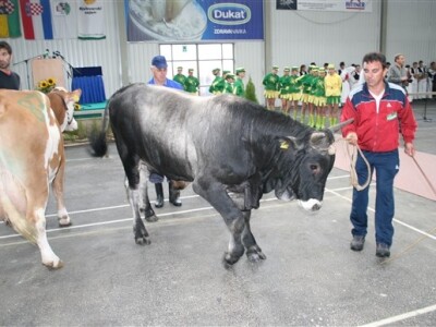 18. Jesenski međunarodni bjelovarski sajam