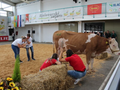 Jesenski sajam u Gudovcu 2022.