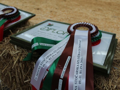 Jesenski sajam u Gudovcu 2022.