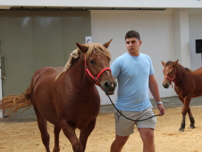 Jesenski sajam u Gudovcu 2022.