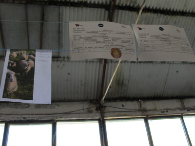 Jesenski sajam u Gudovcu 2022.