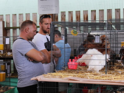 Jesenski sajam u Gudovcu 2022.