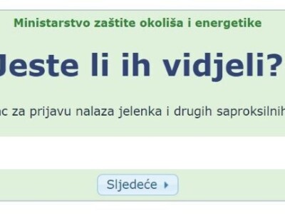 Jeste li ih vidjeli?