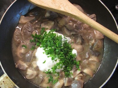 Jestive i otrovne vrste pečurki, te pupavke