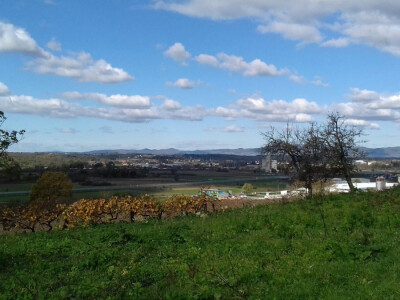 Košnice su sada u blizini Križevaca