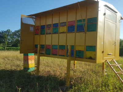 S 15 košnica došli su do 35