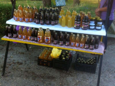 Porodica Mujčić iz Kozaruše