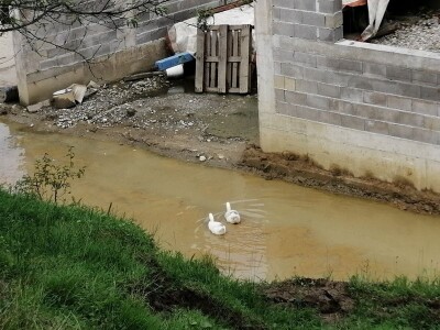 Josip Žmegač, šampion izložbe bučinih ulja Alpe - Adria pretpio je veliku štetu u nedavnoj bujičnoj poplavi Josip Žmegač, šampion izložbe bučinih ulja Alpe - Adria pretpio je veliku štetu u nedavnoj bujičnoj poplavi