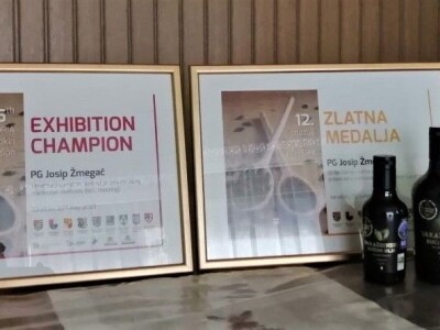 Josip Žmegač, šampion izložbe bučinih ulja Alpe - Adria pretpio je veliku štetu u nedavnoj bujičnoj poplavi Josip Žmegač, šampion izložbe bučinih ulja Alpe - Adria pretpio je veliku štetu u nedavnoj bujičnoj poplavi