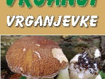 Jedna od Josipovićevih knjiga