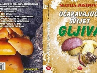 Naslovnica nove Josipovićeve knjige