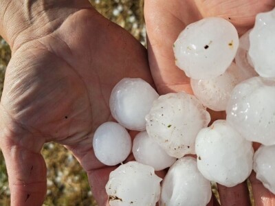 Josipu Žmegaču, poznatom proizvođaču bučinog ulja iz Donjeg Vratna tuča je nanijela ogromnu štetu