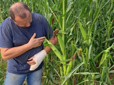 Josipu Žmegaču, poznatom proizvođaču bučinog ulja iz Donjeg Vratna tuča je nanijela ogromnu štetu