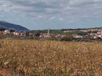 Jovanin Plenković Jovanin Plenković