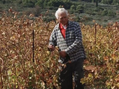 Jovanin Plenković Jovanin Plenković