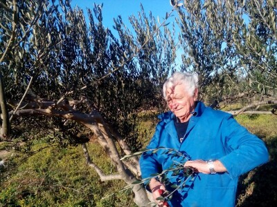 Jovanin Plenković Jovanin Plenković