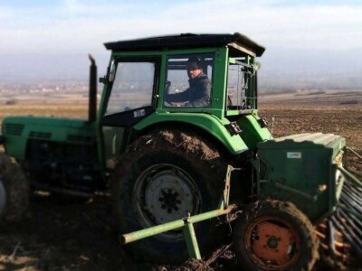 Jovica Ilić Jovica Ilić