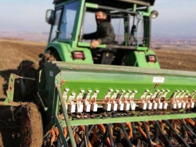 Jovica Ilić Jovica Ilić