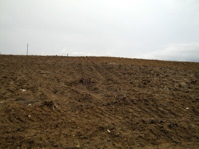 Jovica Ilić Jovica Ilić