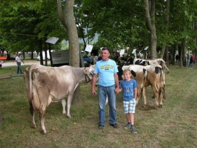 Jozo Bandalo i njegov unuk Josip uz obiteljske krave na izložbi