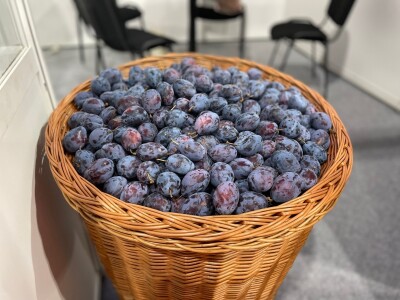 Jubilarni 50. Sajam šljive u Gradačcu