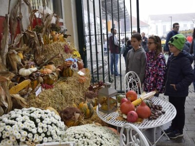 Jubilarni Festival tikvi na varaždinskom placu