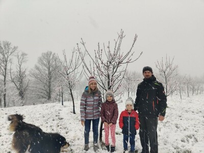 JUČER U KUPJENSKOM KOD VOJNIĆA - Snijeg prekrio 40 hektara voćnjaka obitelji Jirija Mikulića!