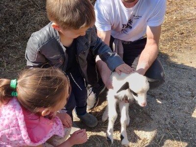 JUČER U KUPJENSKOM KOD VOJNIĆA - Snijeg prekrio 40 hektara voćnjaka obitelji Jirija Mikulića!