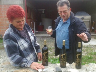 Graševina najzastupljenija sorta