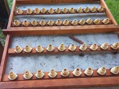 Jusuf Petrović: „Pri proizvodnji matica koristim voštane čahure“