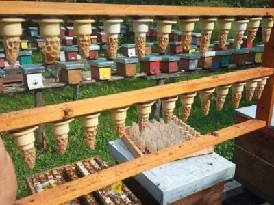 Jusuf Petrović: „Pri proizvodnji matica koristim voštane čahure“