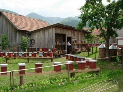 Jusuf Petrović: „Pri proizvodnji matica koristim voštane čahure“