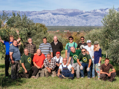 Uvijek dovoljno pomagača