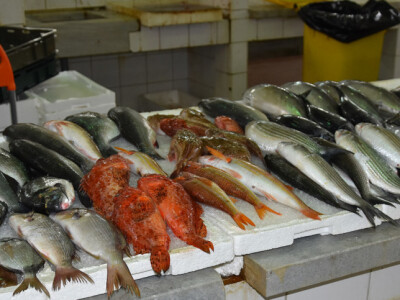 Jutarnja šetnja kroz zadarsku peskariju