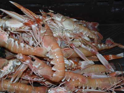 Jutarnja šetnja kroz zadarsku peskariju