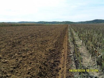 Sjetva ječma na OPG Kaladić