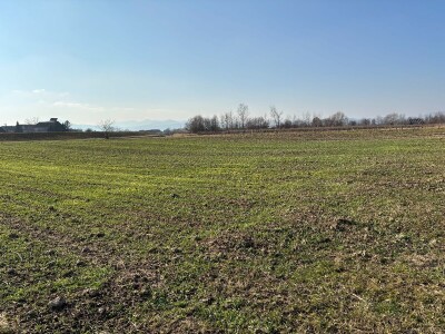 Kad je korov prijatelj, a srna kosilica