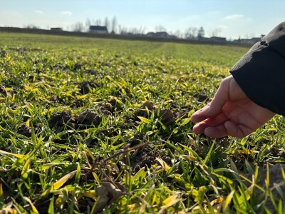 Kad je korov prijatelj, a srna kosilica