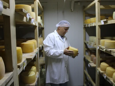 Kad višak mlijeka postane prilika: Mali pogoni daju kontrolu farmeru
