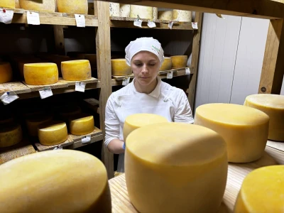 Kad višak mlijeka postane prilika: Mali pogoni daju kontrolu farmeru
