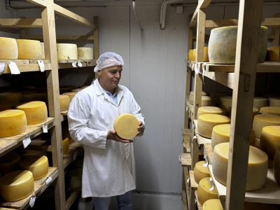 Kad višak mlijeka postane prilika: Mali pogoni daju kontrolu farmeru