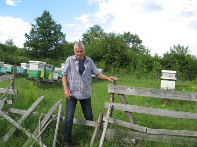 Kada bi i komšijske livade bile zasejane facelijom - izvrsnom za pčele