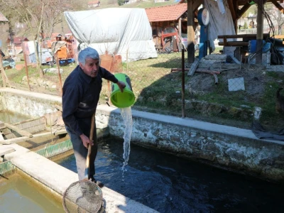 Kada bi svi zasijali svoje zapuštene njive, država bi bila naprednija