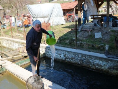 Kada bi svi zasijali svoje zapuštene njive, država bi bila naprednija Kada bi svi zasijali svoje zapuštene njive, država bi bila naprednija