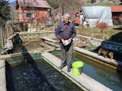 Kada bi svi zasijali svoje zapuštene njive, država bi bila naprednija Kada bi svi zasijali svoje zapuštene njive, država bi bila naprednija