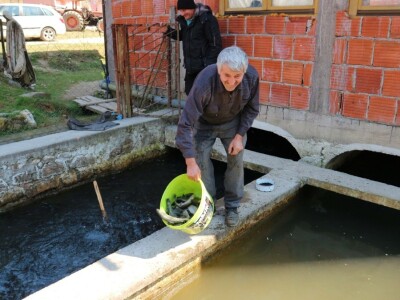 Kada bi svi zasijali svoje zapuštene njive, država bi bila naprednija Kada bi svi zasijali svoje zapuštene njive, država bi bila naprednija