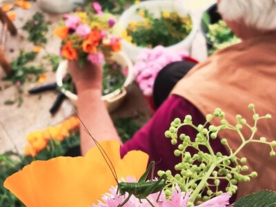 Kako buduća teta u vrtiću – Ljubica, uzgaja cvijeće i aranžira cvjetne bukete?